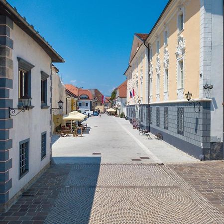 Vila Radolca Apartments & Rooms Радовлица Экстерьер фото