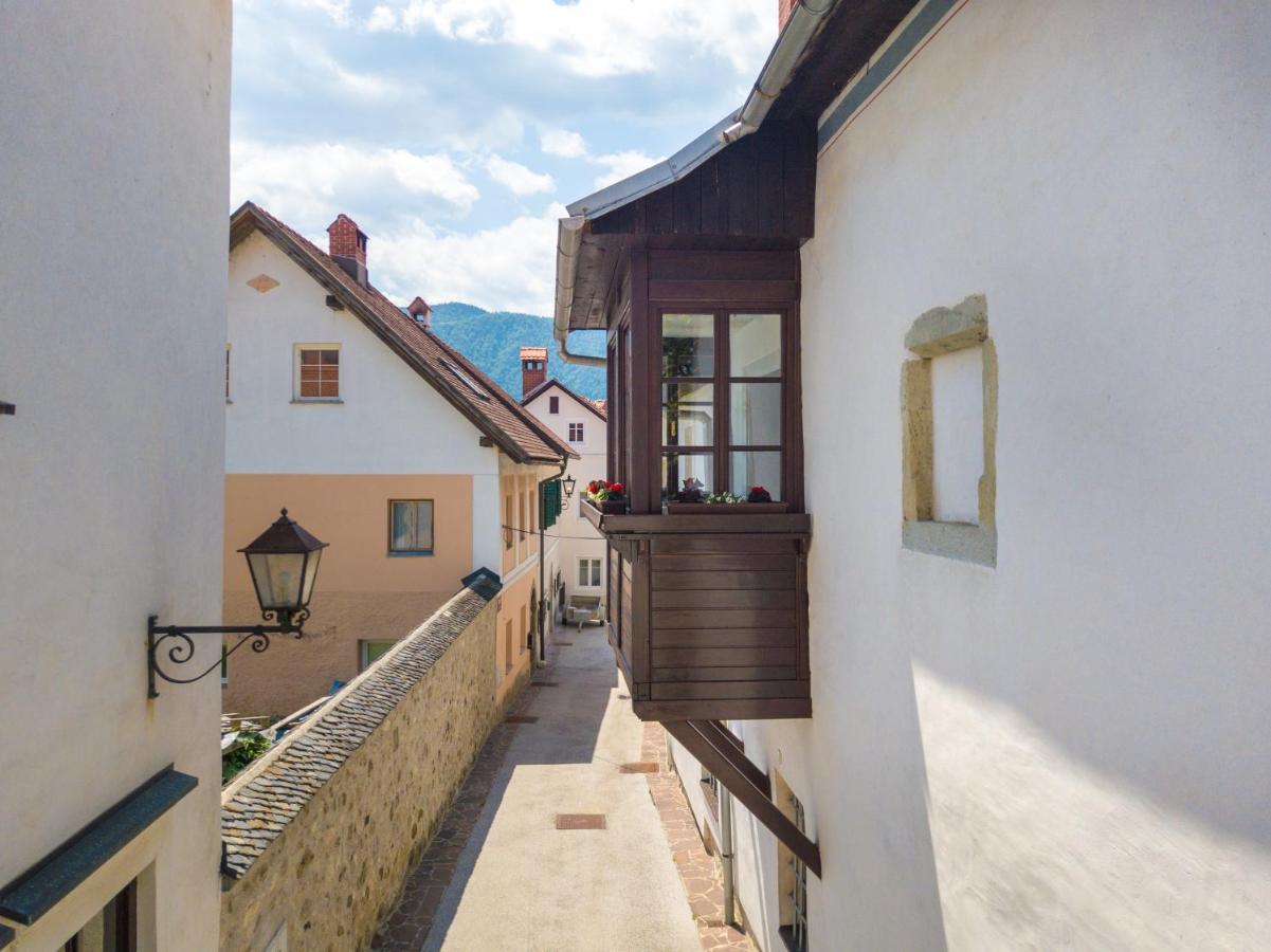 Vila Radolca Apartments & Rooms Радовлица Экстерьер фото