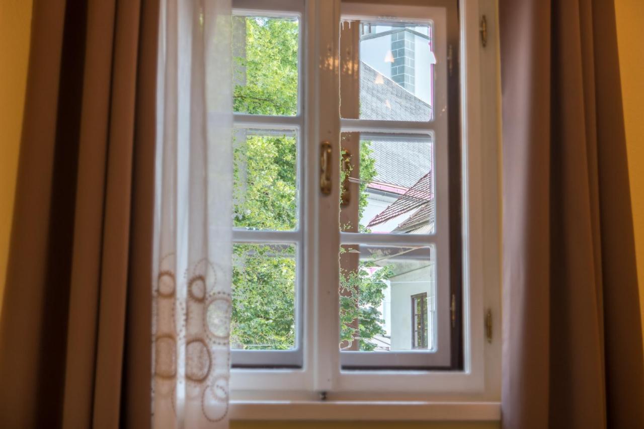 Vila Radolca Apartments & Rooms Радовлица Экстерьер фото