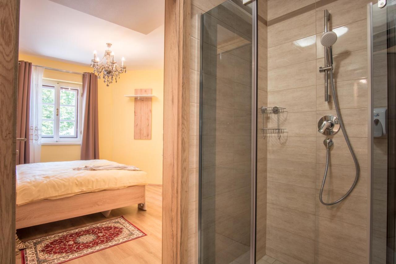 Vila Radolca Apartments & Rooms Радовлица Экстерьер фото
