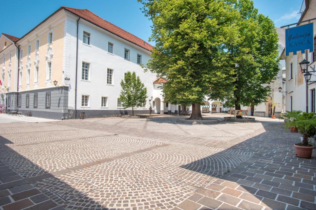 Vila Radolca Apartments & Rooms Радовлица Экстерьер фото