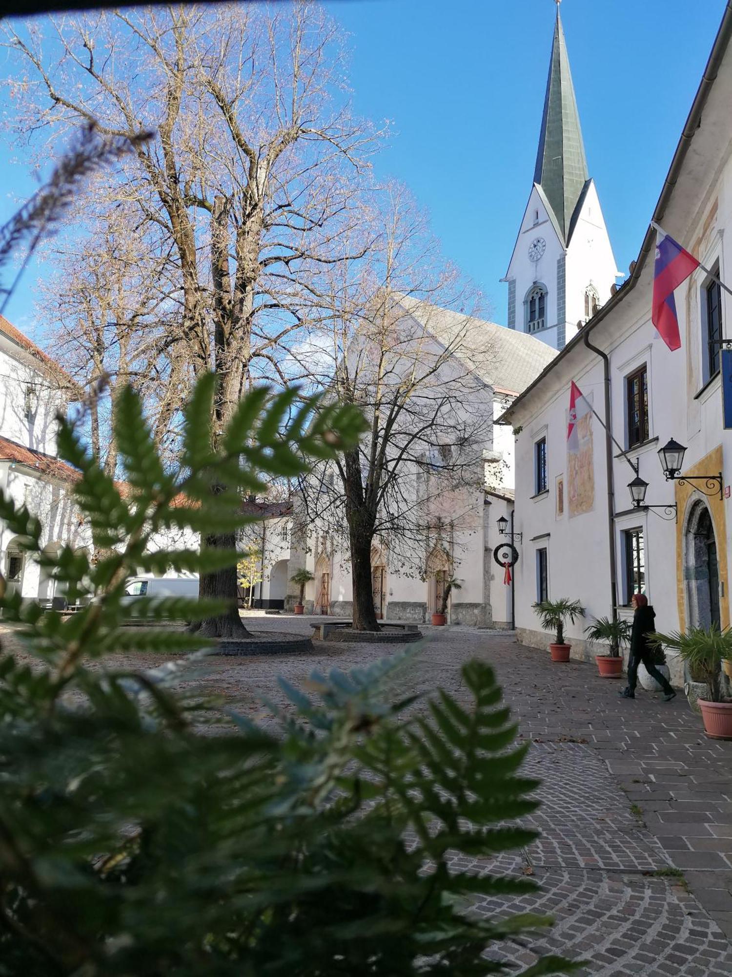 Vila Radolca Apartments & Rooms Радовлица Экстерьер фото