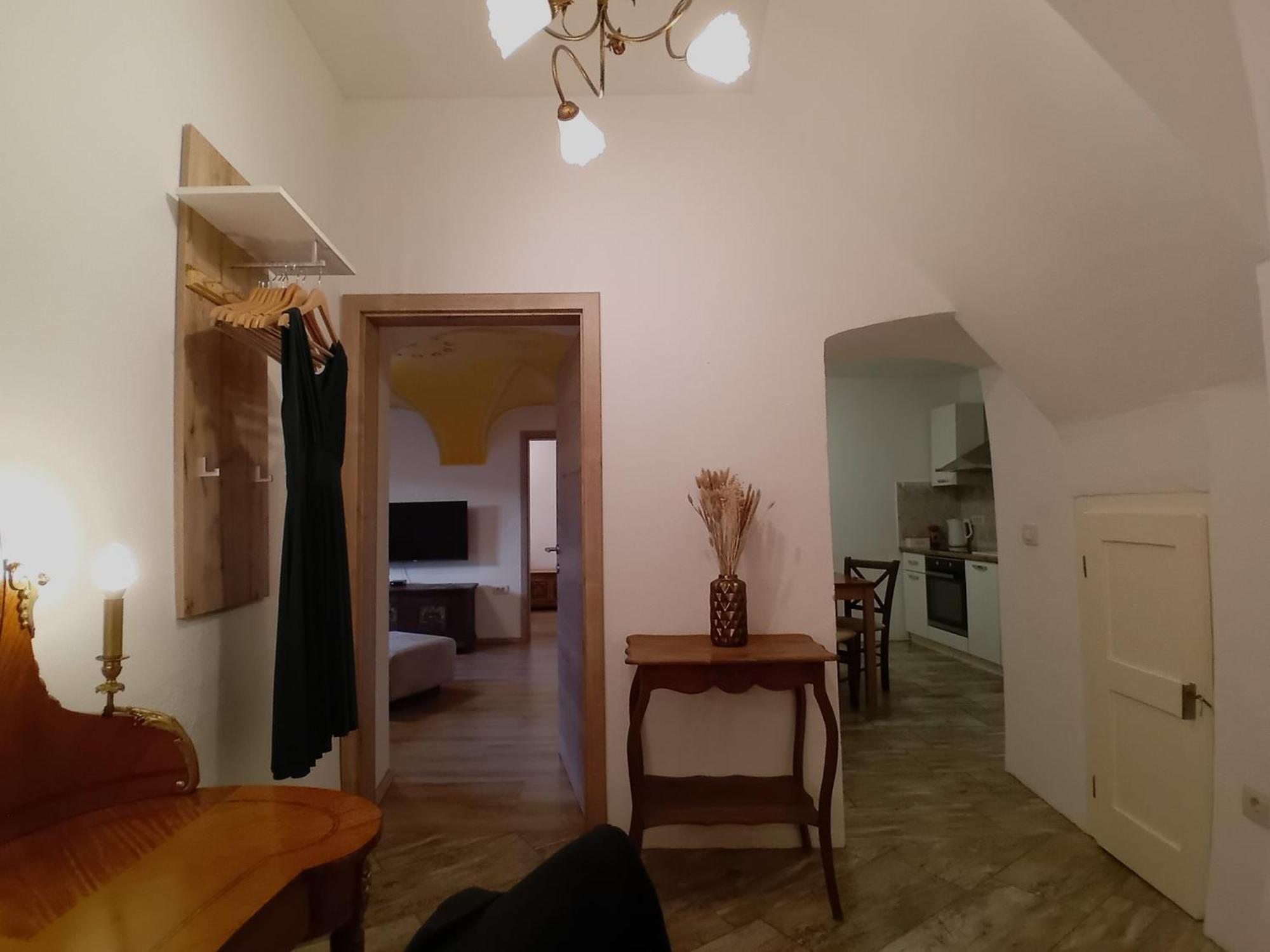 Vila Radolca Apartments & Rooms Радовлица Экстерьер фото